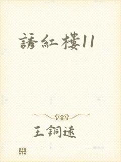 诱红楼11