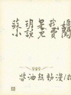 苏玥是我媳妇的小说免费阅读全文