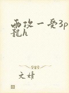 两攻一受3p双龙h