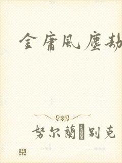 金庸风尘劫