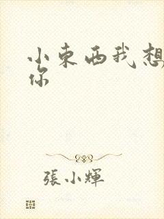 小东西我想弄坏你