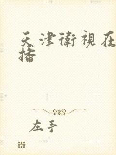 天津卫视在线直播