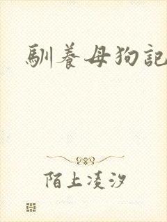 驯养母狗记封面