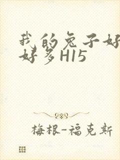 我的兔子好软水好多H15