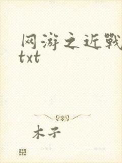 网游之近战法师txt