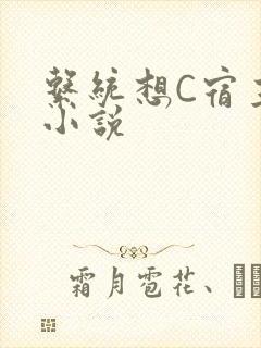 系统想C宿主的小说