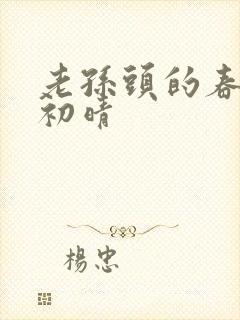 老孙头的春天林初晴