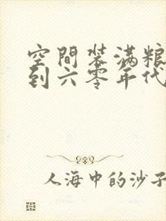 空间装满粮食回到六零年代