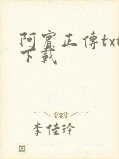 阿宾正传txt下载