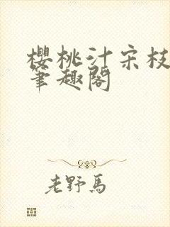 樱桃汁宋枝江野笔趣阁