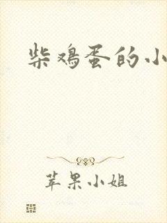 柴鸡蛋的小说