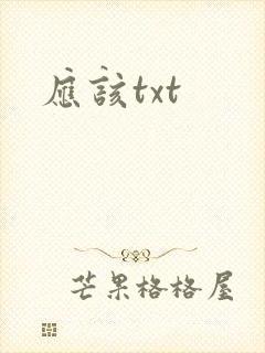 应该txt