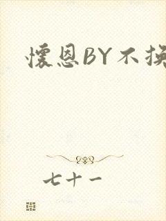 怀恩BY不换