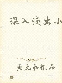 深入浅出小说