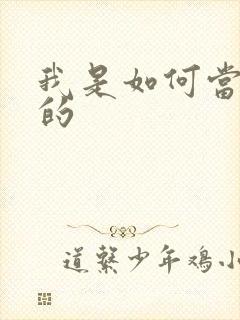 我是如何当神豪的