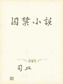 囚禁小说