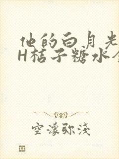 他的白月光HVH桔子糖水全文