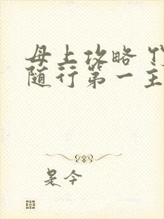 母上攻略 竹影随行第一主板