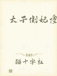 太子侧妃傻乎乎