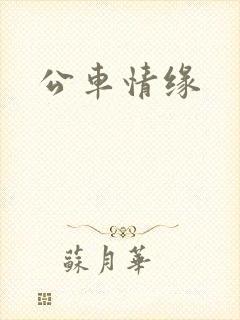公车情缘