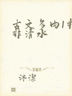 古文多肉1对n非清水