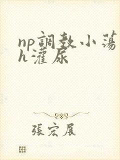 np调教小荡货h灌尿