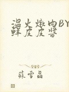 温火炖肉BY海鲜皮皮酱