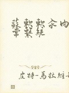 苏软软汆肉的日常系统