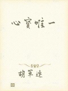 心宝唯一