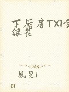 下厨房TXl金银花