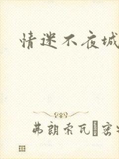 情迷不夜城