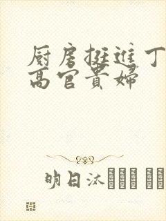 厨房挺进丁字裤高官贵妇