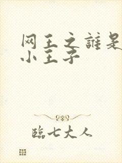 网王之谁是我的小王子