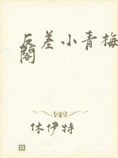 反差小青梅笔趣阁