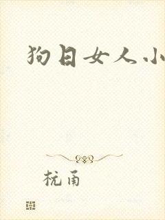狗日女人小说