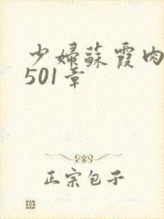 少妇苏霞肉欲第501章