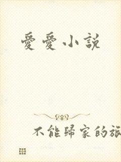 爱爱小说