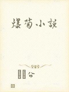 爆菊小说