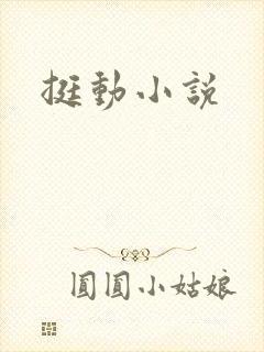 挺动小说封面