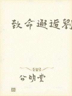 致命邂逅刘小寐