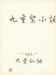 九重紫小说