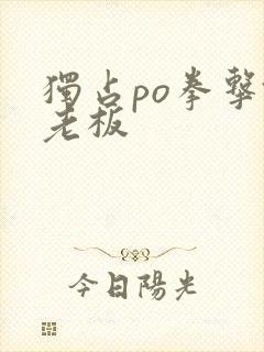 独占po拳击馆老板