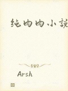 纯肉肉小说