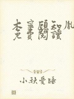 木宁顾知胤小说免费阅读