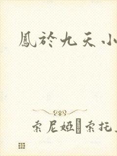 凤于九天小说