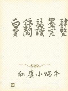 白锦瑟墨肆年免费阅读完整版小说