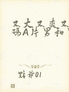 又大又爽又黄无码A片男和男