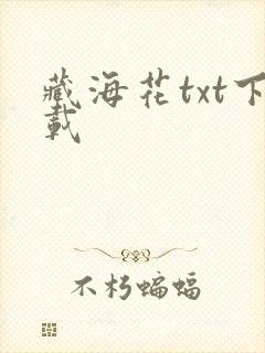 藏海花txt下载