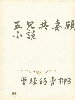 五兄共妻顾心儿小说