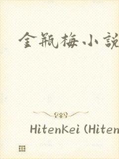 金瓶梅小说下载